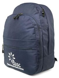 2015 New school bag